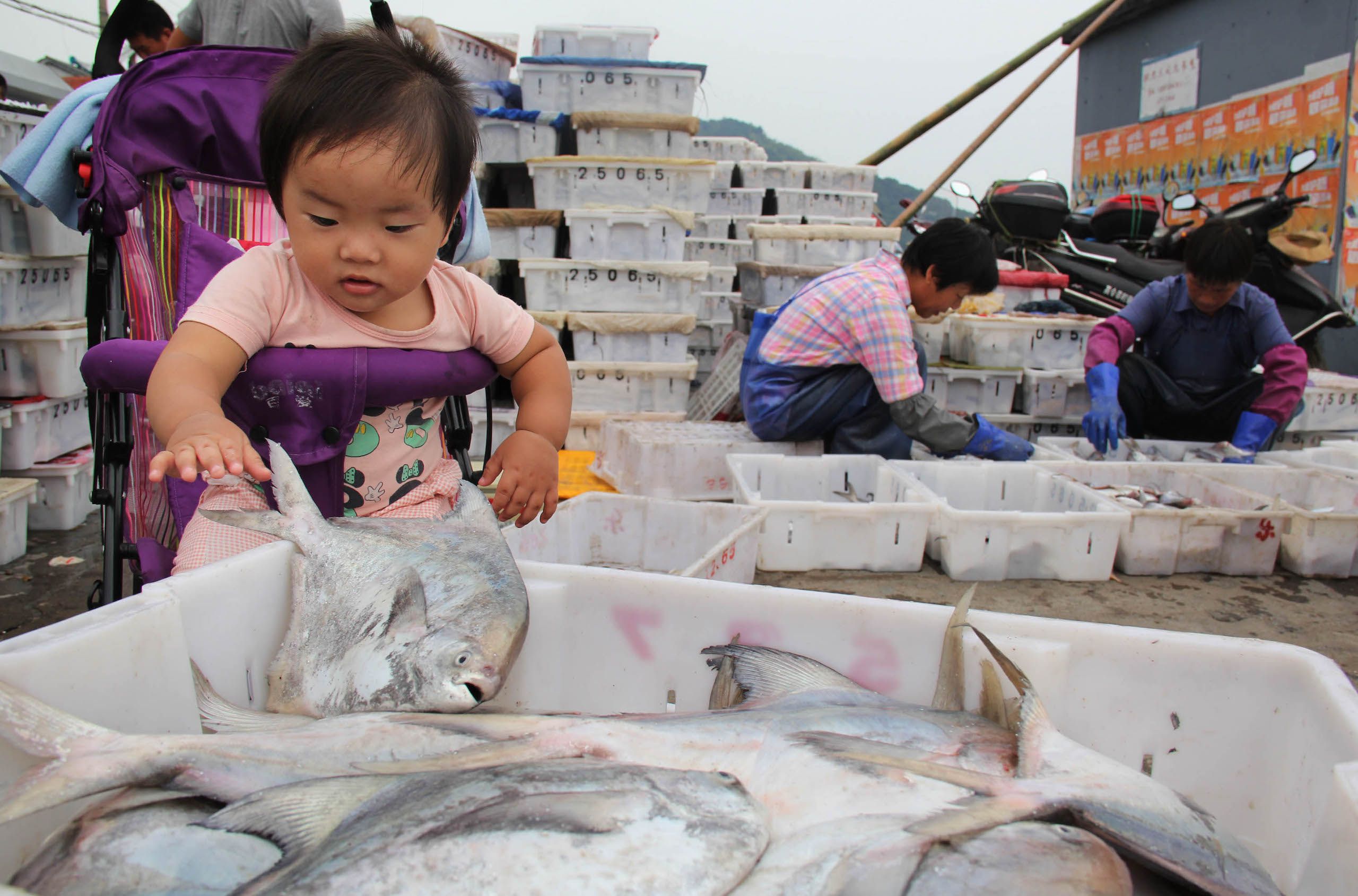 Little-Known Summer Ningbo Cuisine over