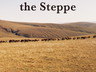 Secrets of the Steppe