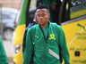 Cultivating Champions: The Transition Approach at Mamelodi Sundowns