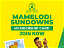 Mamelodi Sundowns Membership Card