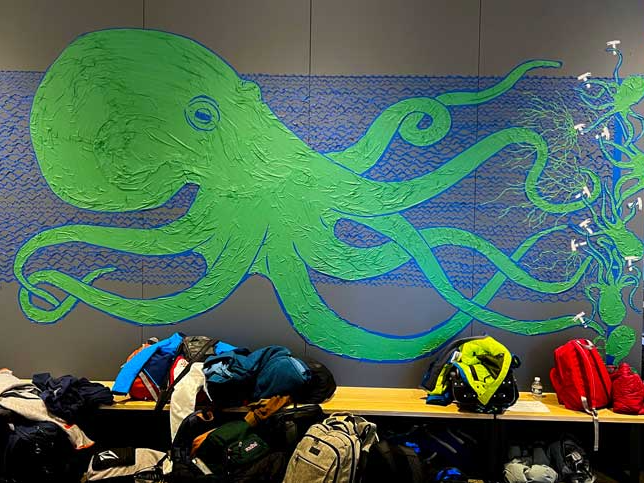 Tape Art Showcase