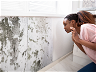 Mold or Mildew: What To Do?