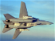 The Grumman F-14 Tomcat