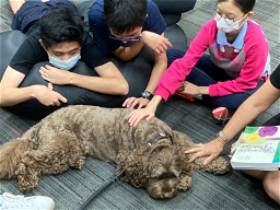 Therapy Dog Helps Students Relax