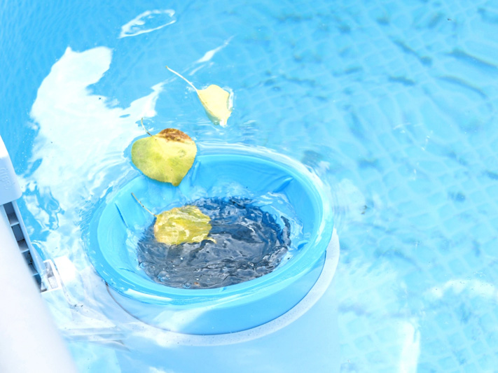 Clean Pool, Happy Tenant