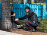 Ontario's Evolving Drug Policy: Where public health meets safety