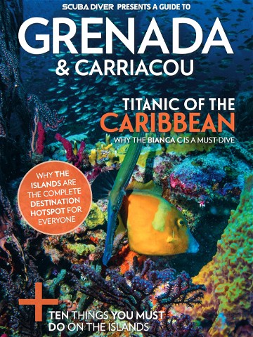 Destination Guide -  Grenada