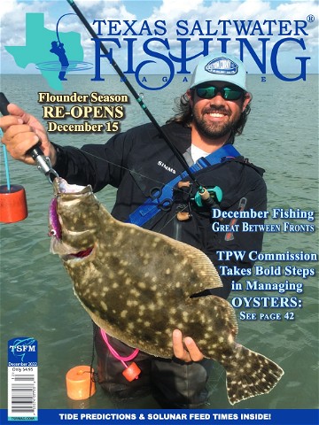Texas Saltwater Fishing - Professional Conversion Sample