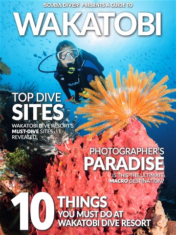 Destination Guide -  Wakatobi