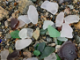 VIDEO: How to Find the Best Sea Glass Beach - 4 Simple Tips