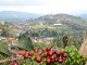 The Origin and History of Colombian Coffee