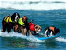 Surfing Dogs Ride Waves & Capture Hearts