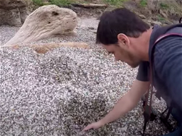VIDEO: Glass Covers This Beach and People Like It That Way
