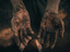 Soil, Soul, and Society: A Thriving Connection