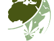 Rise of Canna Trade Africa