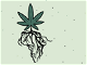 Unlocking Local Cannabis
