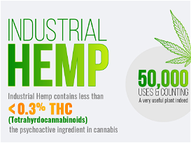 Industrial Hemp - 50,000 Uses & Counting