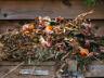 What to avoid when making compost