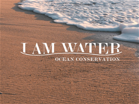 I Am Water