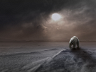 How Mankind's "Mistakes" threaten Polar Bear Survival
