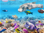 Coral Reefs in Peril - A Race Against Time to Save Earth's Underwater Rainforests