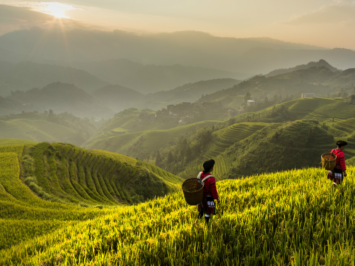 What Is Green Wall Of China