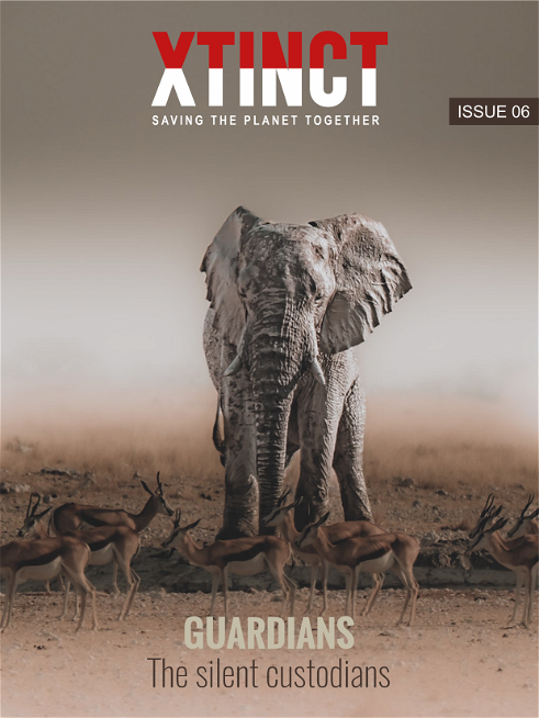 Xtinct Magazine Issue 6