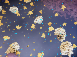 What are biomolecular condensates, and will they be a breakthrough in diabetes treatment?