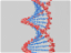 REGENXBIO opens gene therapy manufacturing facility