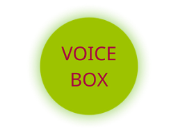 Voice Box: Online and In-Person Friendships