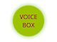Voice Box: Online and In-Person Friendships