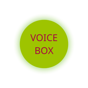 Voice Box