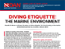 Diving Etiquette: The Marine Environment