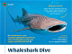 Whaleshark Dive