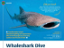 Whaleshark Dive