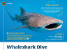 Whaleshark Dive