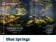 Blue Springs
