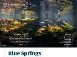 Blue Springs