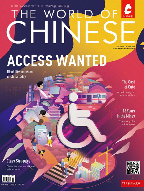 2021 Issue 6: Access Wanted